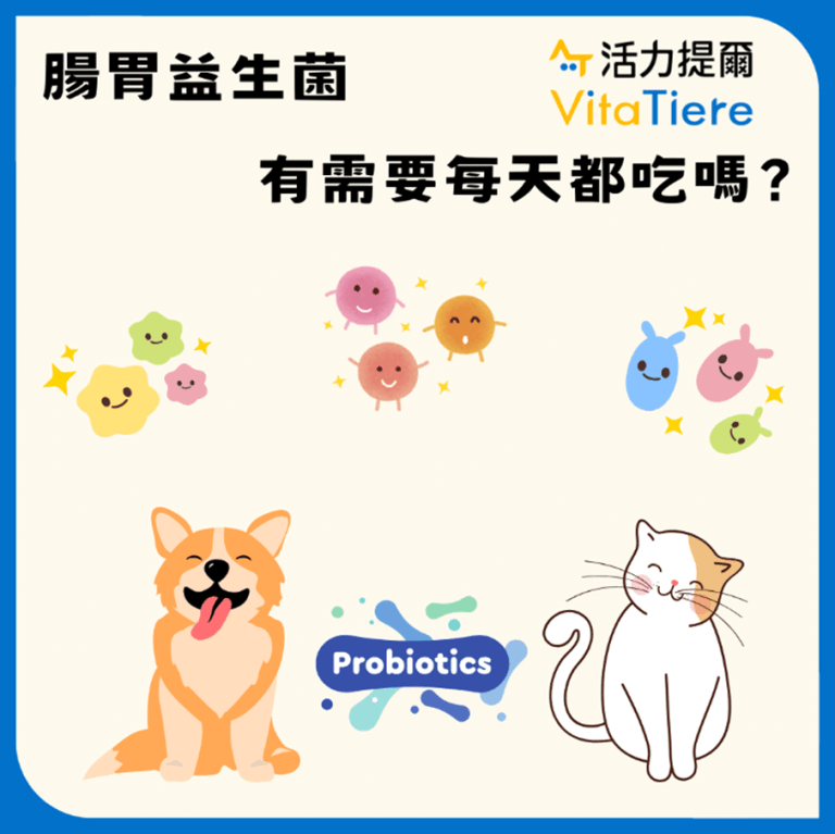 犬貓腸胃益生菌有需要每天吃嗎？