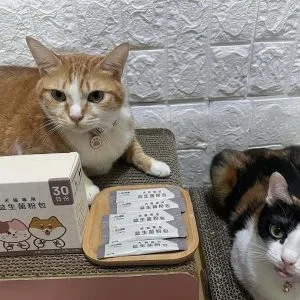 ig_0425_14