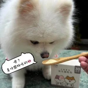 ig_0425_27