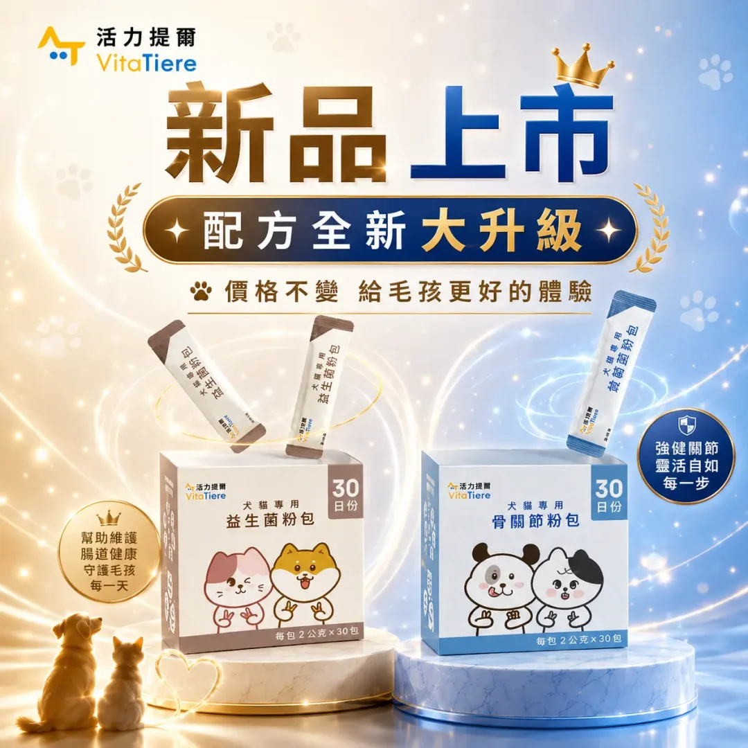 新品上市banner_手機
