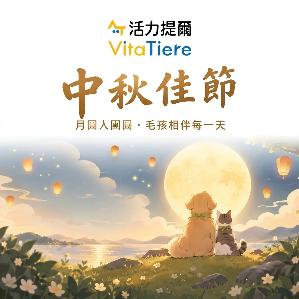 home_banner_mobile_260909