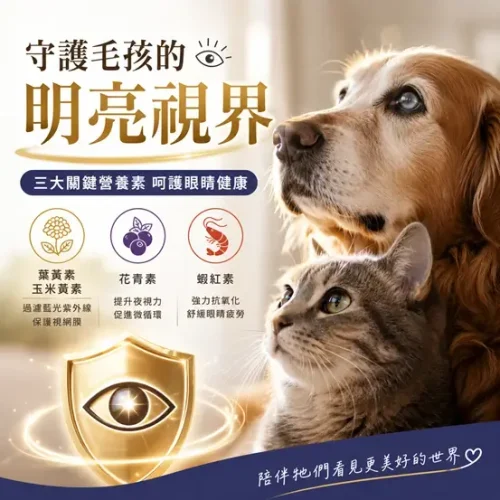 seo_260512