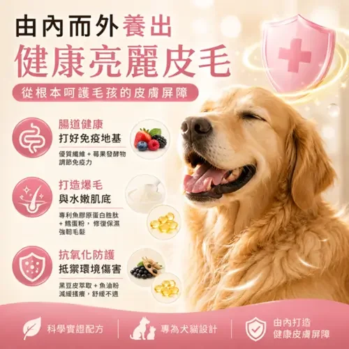 seo_260728