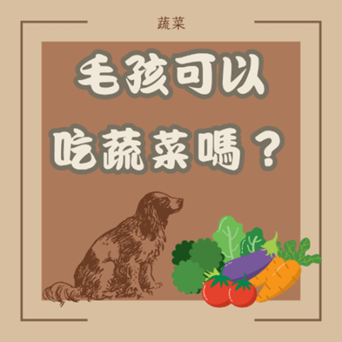 seo_main_251117