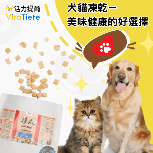 seo封面_251027